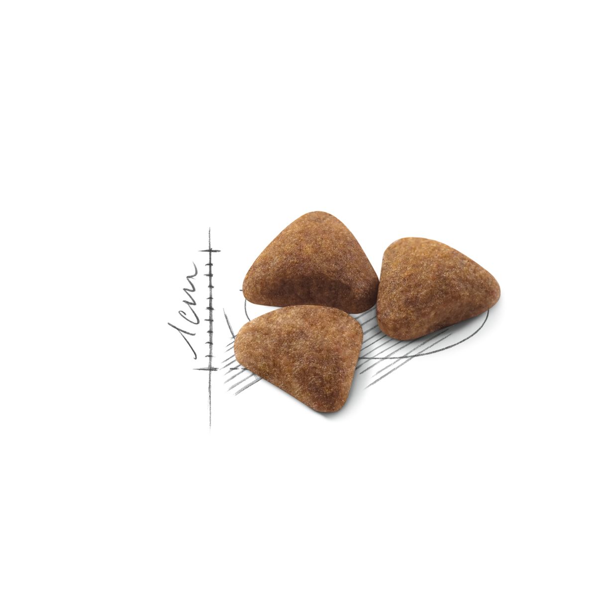 Royal Canin Indoor Adult kissan kuivaruoka: ruoka lähikuvassa