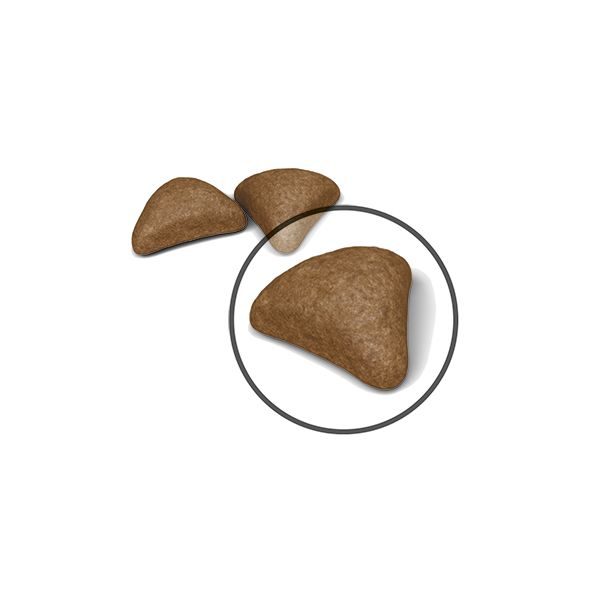 Royal Canin Hairball Care Adult kissan kuivaruoka: ruoka lähikuvassa