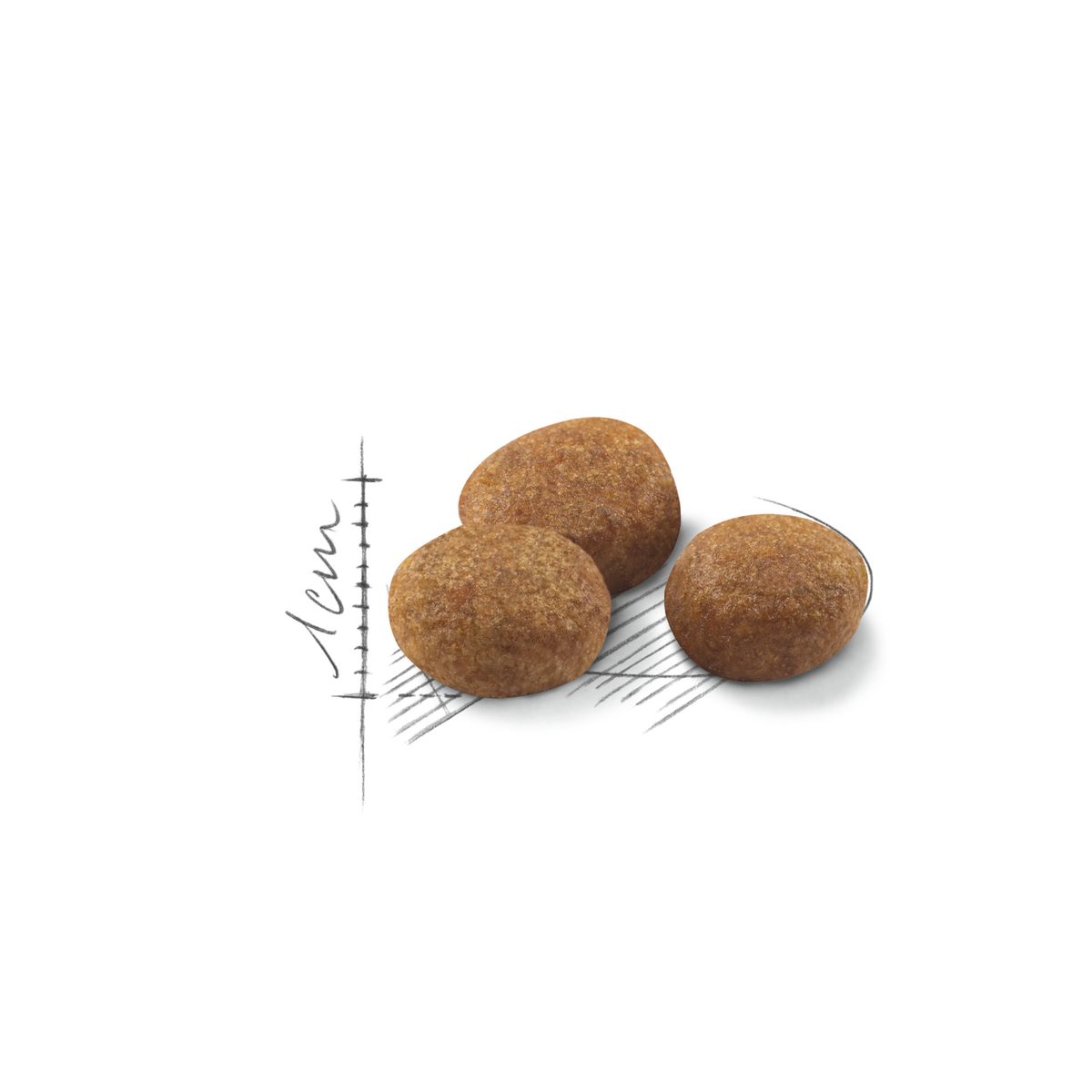 Royal Canin Sterilised 7+ Ageing kissan kuivaruoka: ruoka lähikuvassa