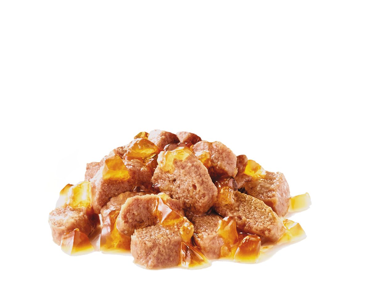 Royal Canin Sterilised Jelly Adult kissan märkäruoka: ruoka lähikuvassa
